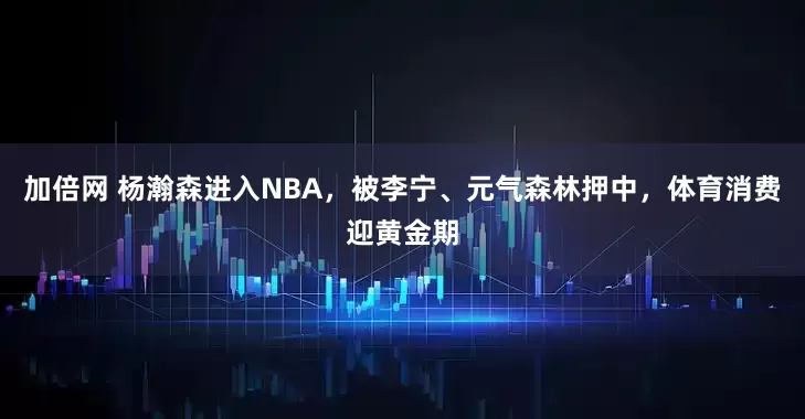 加倍網(wǎng) 楊瀚森進(jìn)入NBA，被李寧、元?dú)馍盅褐校w育消費(fèi)迎黃金期