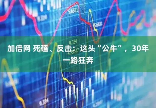 加倍網(wǎng) 死磕、反擊：這頭“公?！?，30年一路狂奔