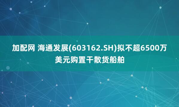 加配網(wǎng) 海通發(fā)展(603162.SH)擬不超6500萬美元購置干散貨船舶